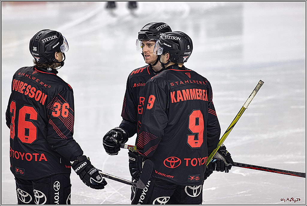 PENNY DEL 1: Kölner Haie -Iserlohn Roosters; Köln, 02.01.2024