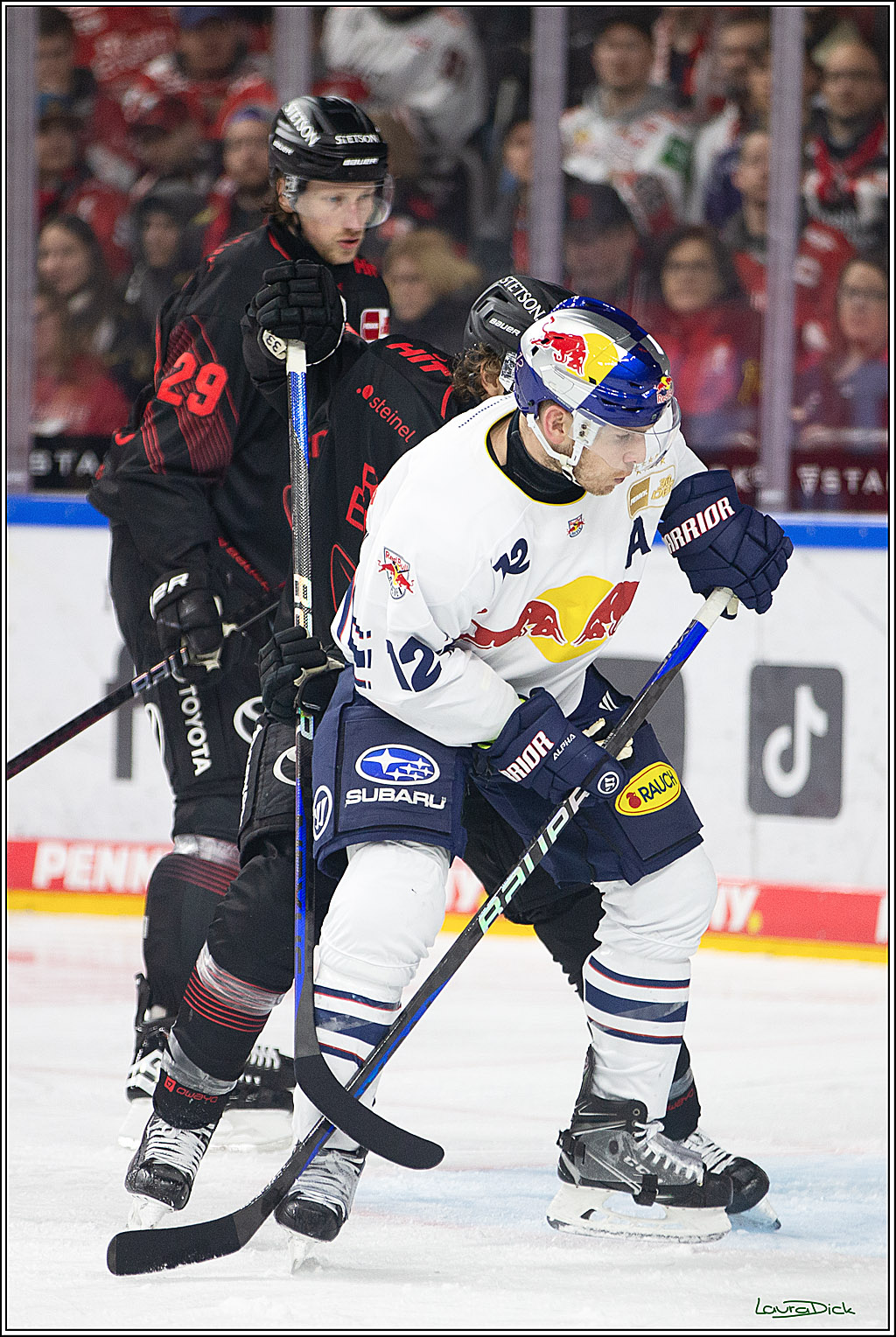 PENNY DEL; Koelner Haie- RedBull Muenchen; Koeln, 05.01.2024