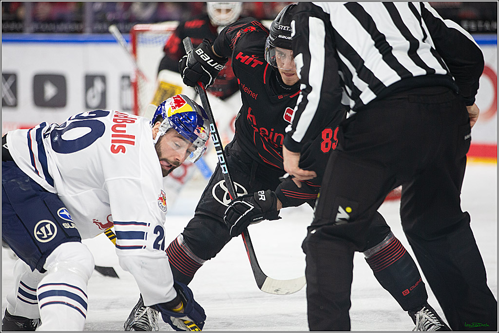 PENNY DEL; Koelner Haie- RedBull Muenchen; Koeln, 05.01.2024