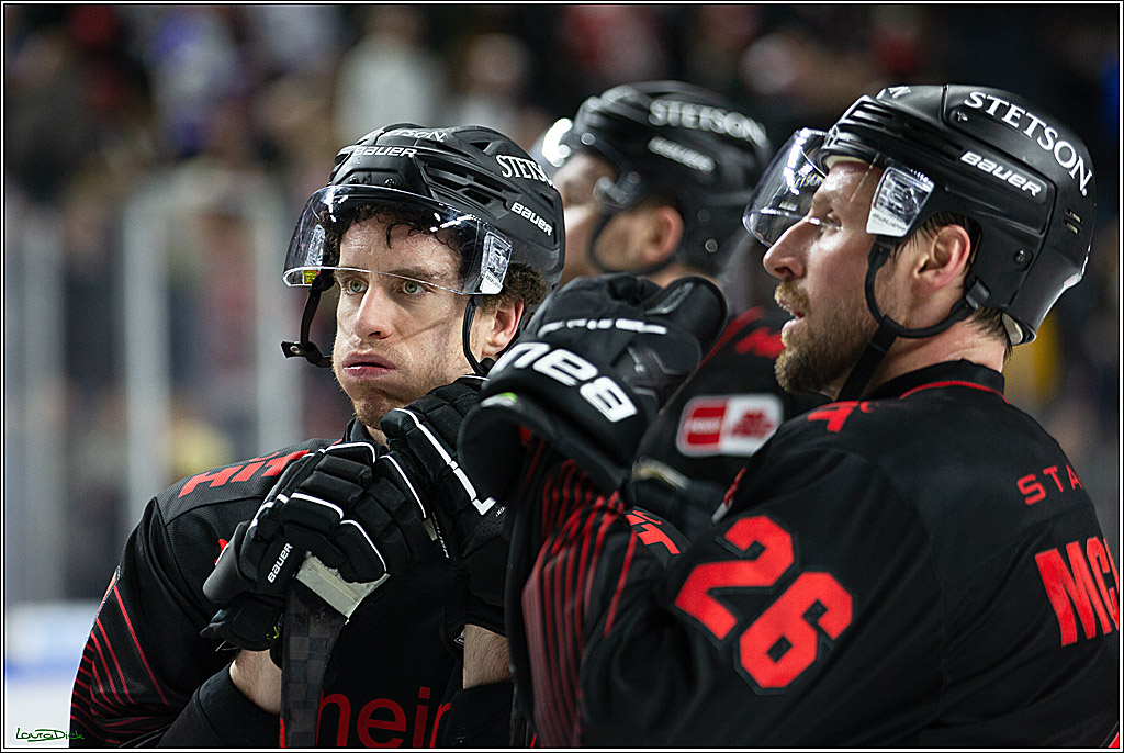 PENNY DEL; Koelner Haie- RedBull Muenchen; Koeln, 05.01.2024