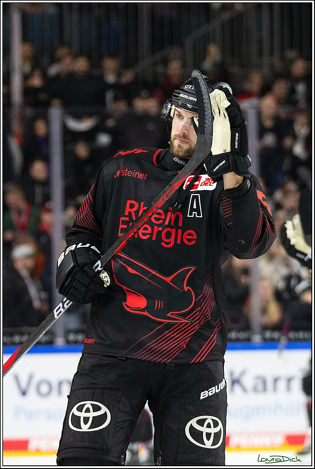 PENNY DEL; Koelner Haie- RedBull Muenchen; Koeln, 05.01.2024