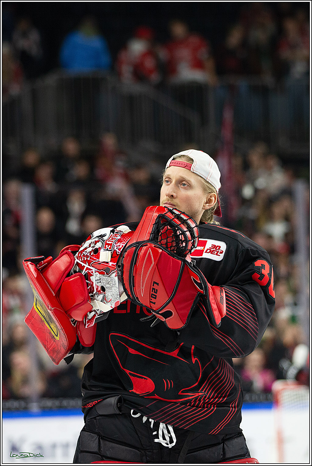 PENNY DEL; Koelner Haie- RedBull Muenchen; Koeln, 05.01.2024
