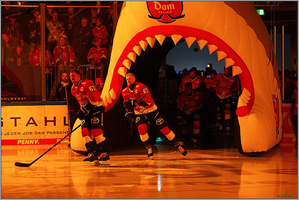 PENNY DEL; Koelner Haie- Schwenninger Wild Wings; Koeln, 14.01.2024