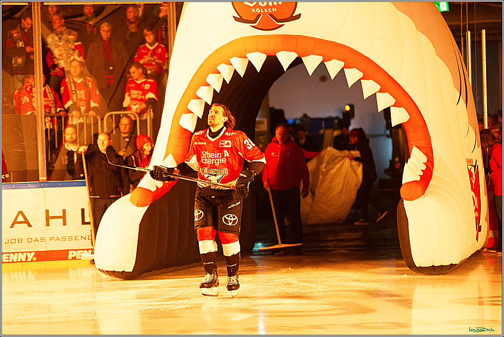 PENNY DEL; Koelner Haie- Schwenninger Wild Wings; Koeln, 14.01.2024