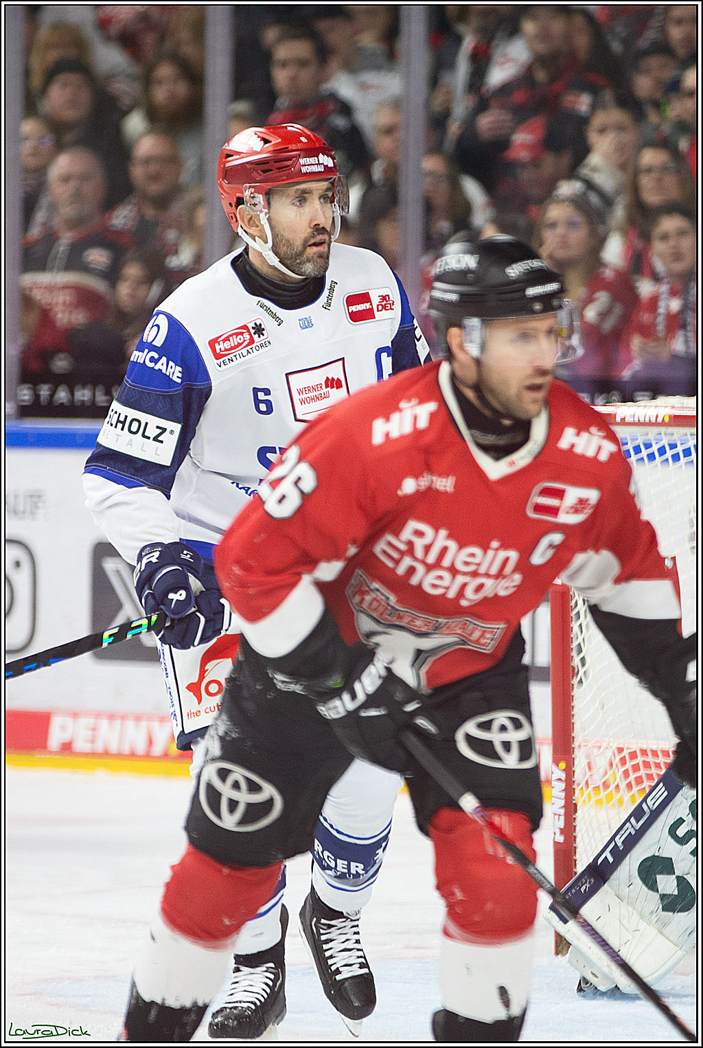 PENNY DEL; Koelner Haie- Schwenninger Wild Wings; Koeln, 14.01.2024
