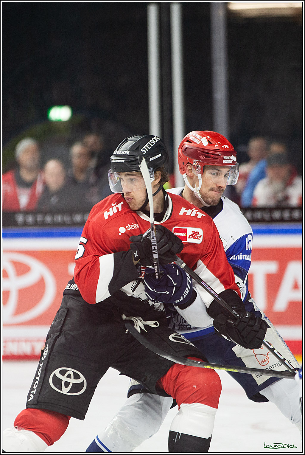 PENNY DEL; Koelner Haie- Schwenninger Wild Wings; Koeln, 14.01.2024