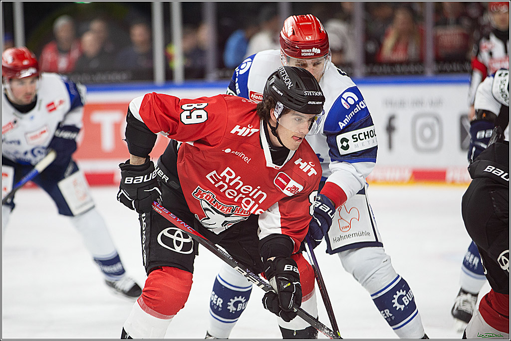 PENNY DEL; Koelner Haie- Schwenninger Wild Wings; Koeln, 14.01.2024
