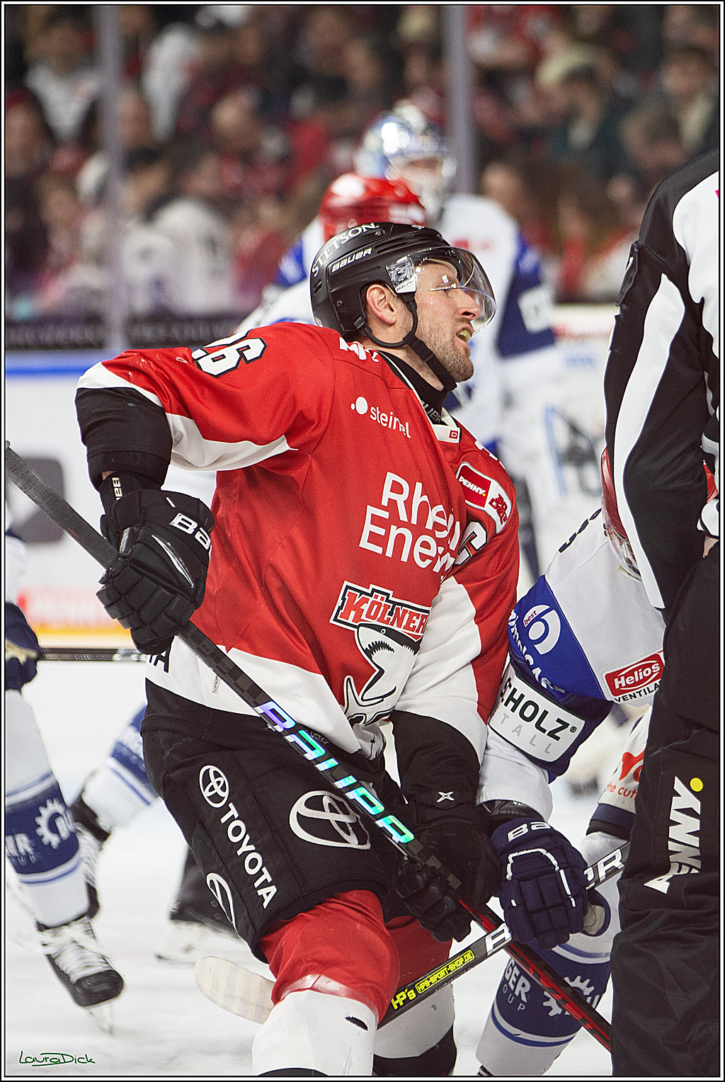 PENNY DEL; Koelner Haie- Schwenninger Wild Wings; Koeln, 14.01.2024