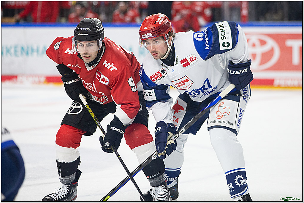 PENNY DEL; Koelner Haie- Schwenninger Wild Wings; Koeln, 14.01.2024