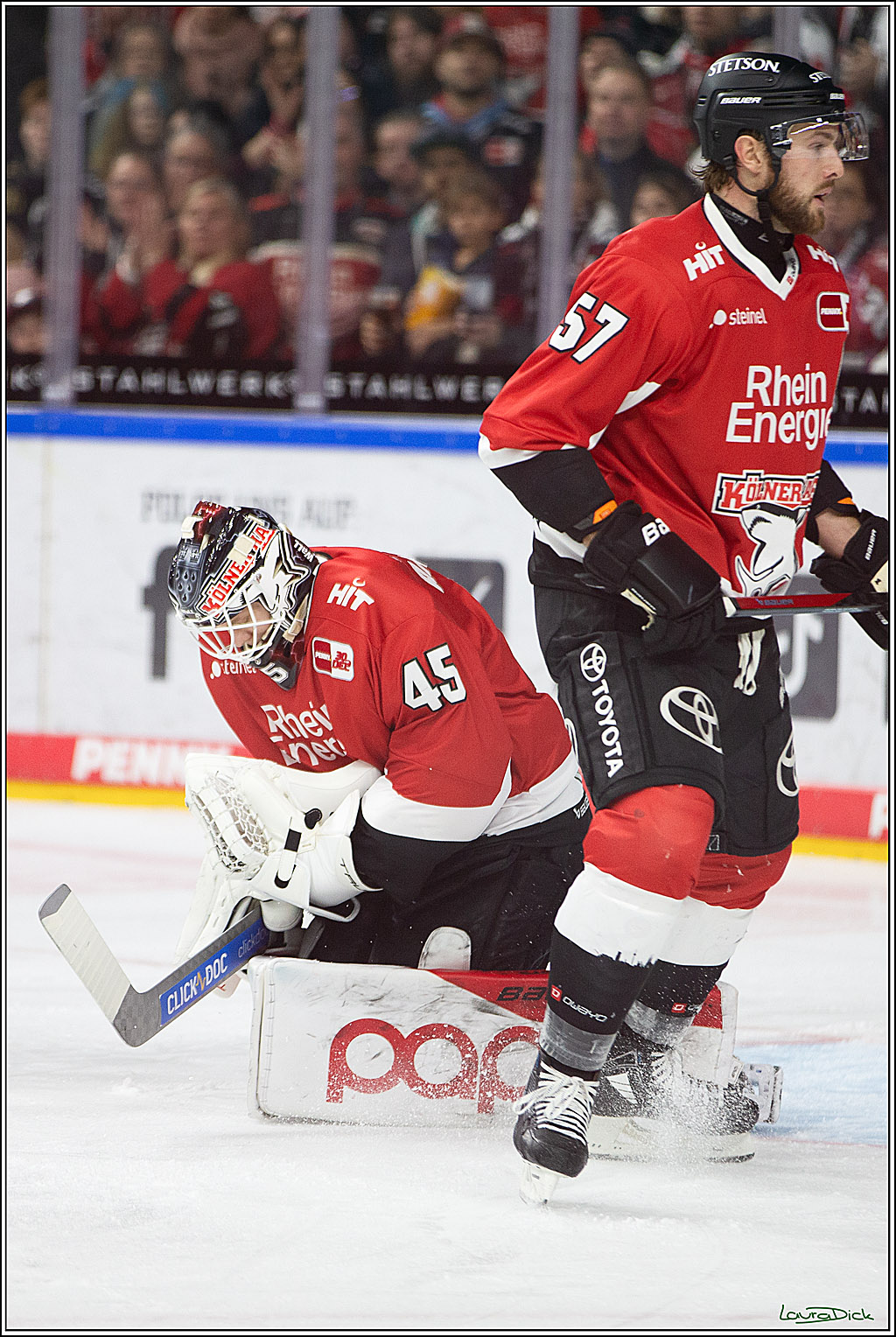 PENNY DEL; Koelner Haie- Schwenninger Wild Wings; Koeln, 14.01.2024