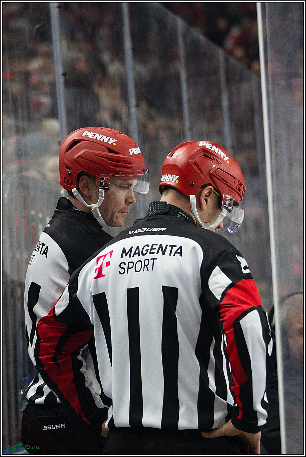 PENNY DEL; Koelner Haie- Schwenninger Wild Wings; Koeln, 14.01.2024