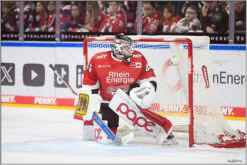 PENNY DEL; Koelner Haie- Schwenninger Wild Wings; Koeln, 14.01.2024