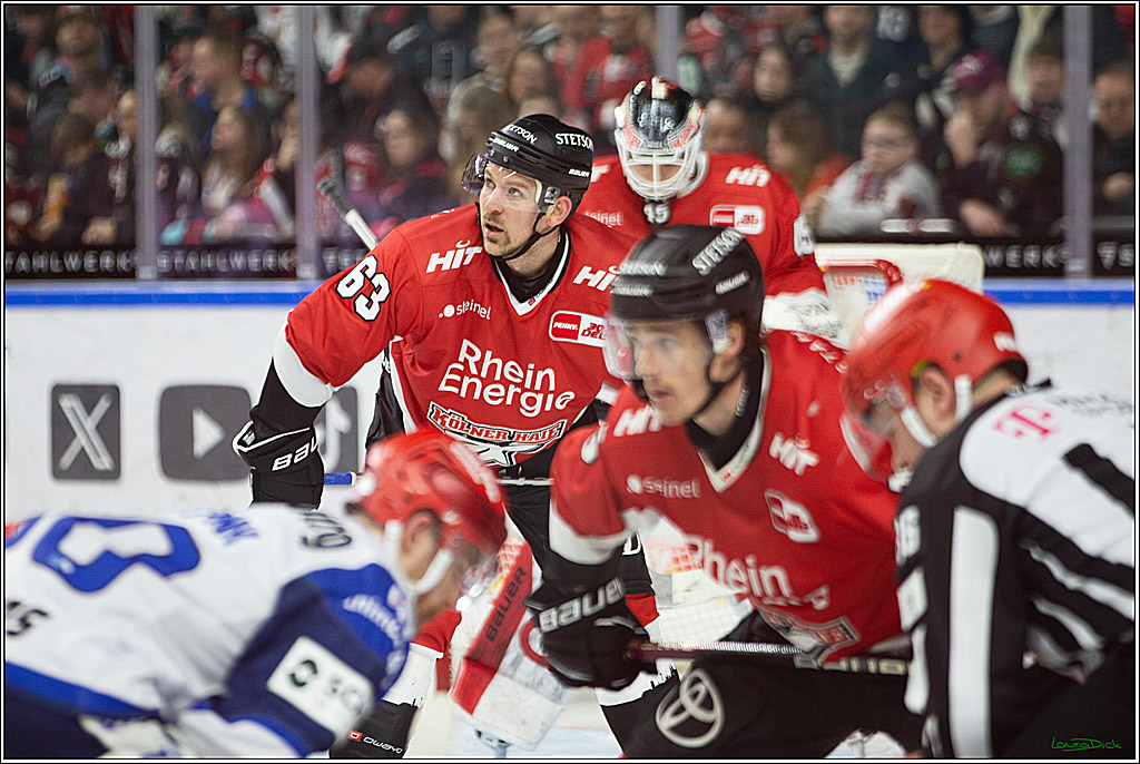 PENNY DEL; Koelner Haie- Schwenninger Wild Wings; Koeln, 14.01.2024