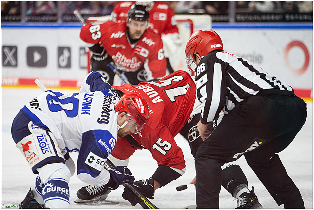 PENNY DEL; Koelner Haie- Schwenninger Wild Wings; Koeln, 14.01.2024