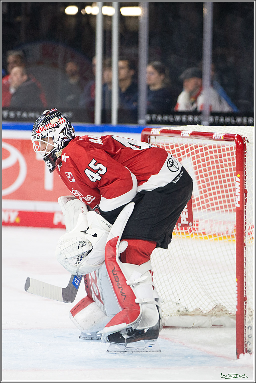 PENNY DEL; Koelner Haie- Schwenninger Wild Wings; Koeln, 14.01.2024