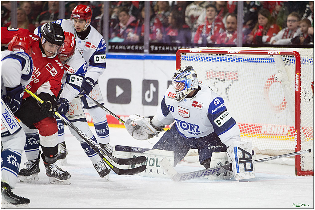PENNY DEL; Koelner Haie- Schwenninger Wild Wings; Koeln, 14.01.2024