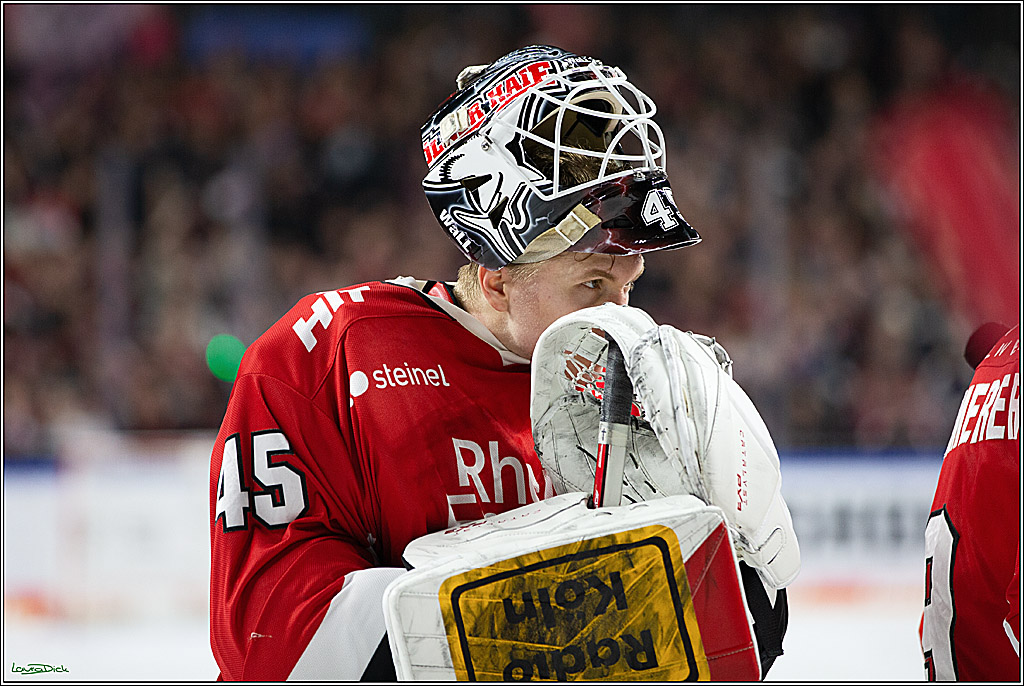 PENNY DEL; Koelner Haie- Schwenninger Wild Wings; Koeln, 14.01.2024