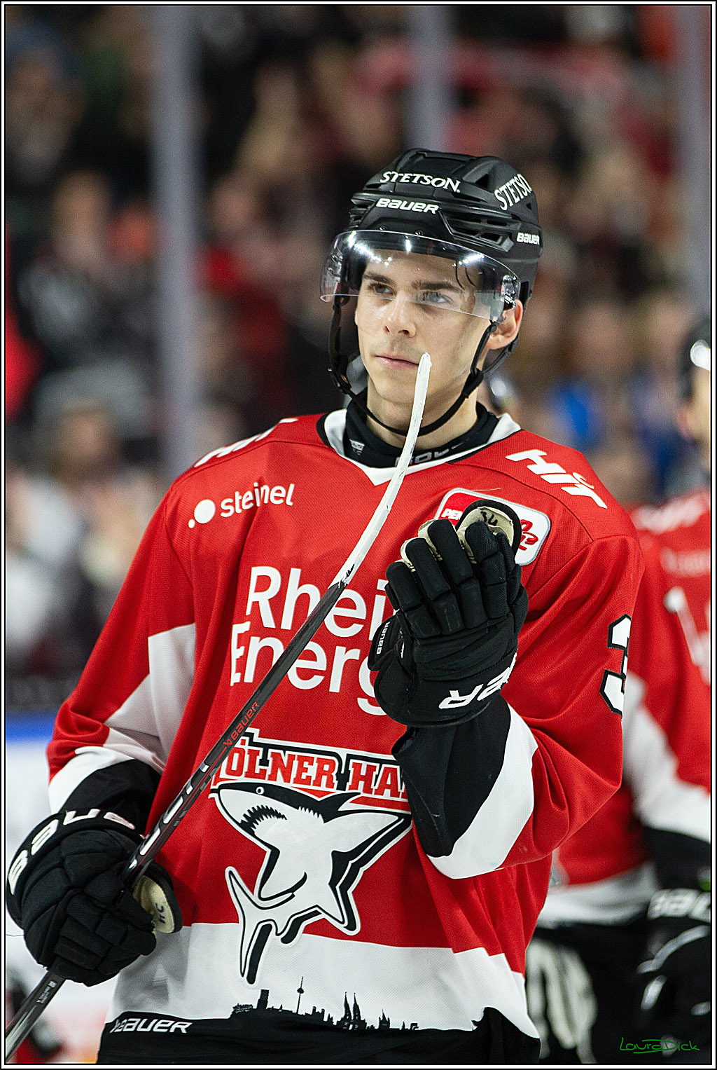 PENNY DEL; Koelner Haie- Schwenninger Wild Wings; Koeln, 14.01.2024