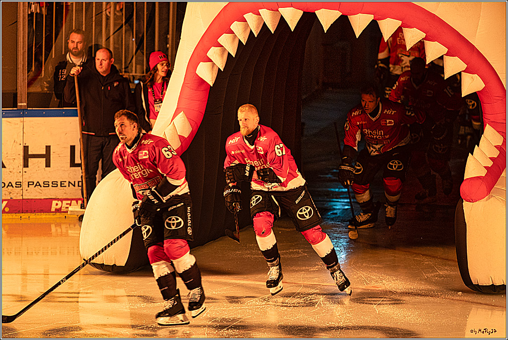 PENNY DEL 1; Kölner Haie - Schwenninger Wild Wings; Köln, 14.01.2024