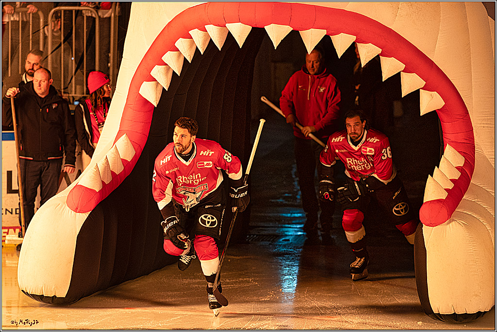 PENNY DEL 1; Kölner Haie - Schwenninger Wild Wings; Köln, 14.01.2024