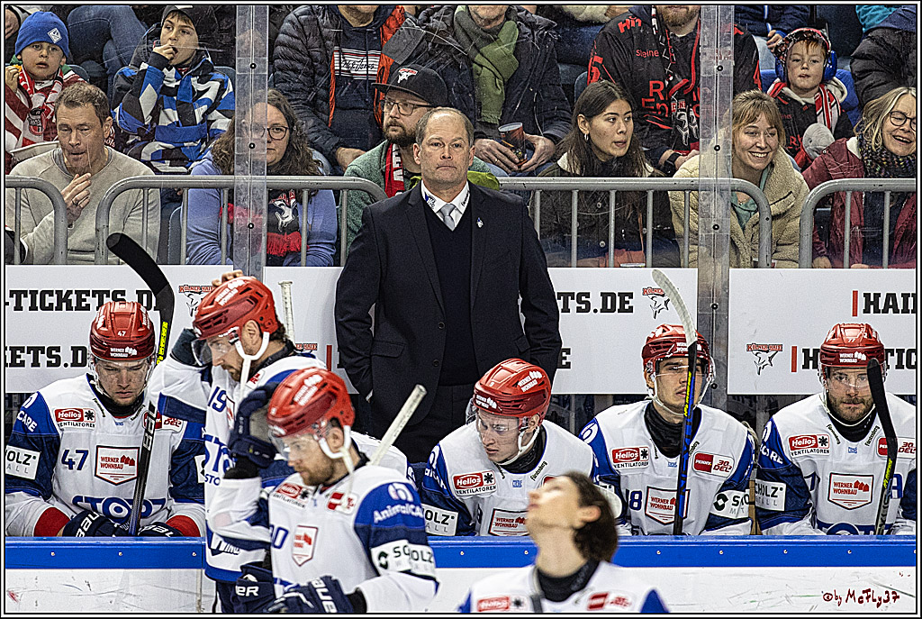 PENNY DEL 1; Kölner Haie - Schwenninger Wild Wings; Köln, 14.01.2024