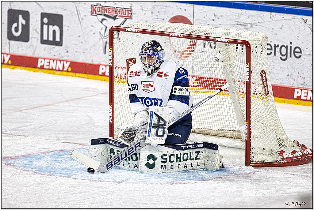 PENNY DEL 1; Kölner Haie - Schwenninger Wild Wings; Köln, 14.01.2024
