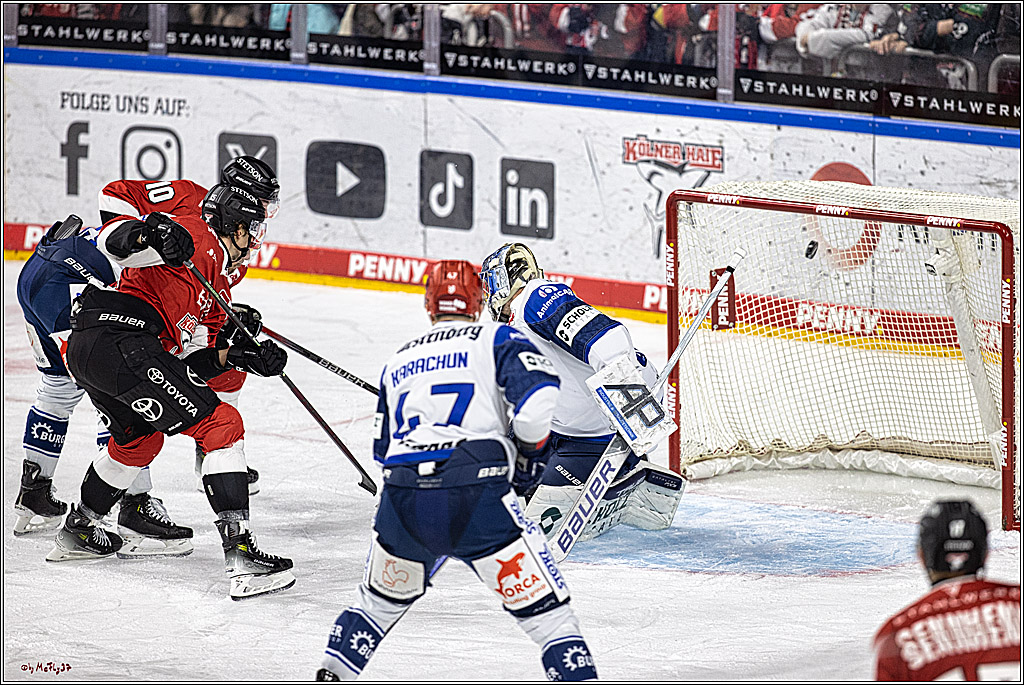 PENNY DEL 1; Kölner Haie - Schwenninger Wild Wings; Köln, 14.01.2024