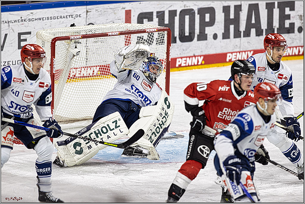 PENNY DEL 1; Kölner Haie - Schwenninger Wild Wings; Köln, 14.01.2024
