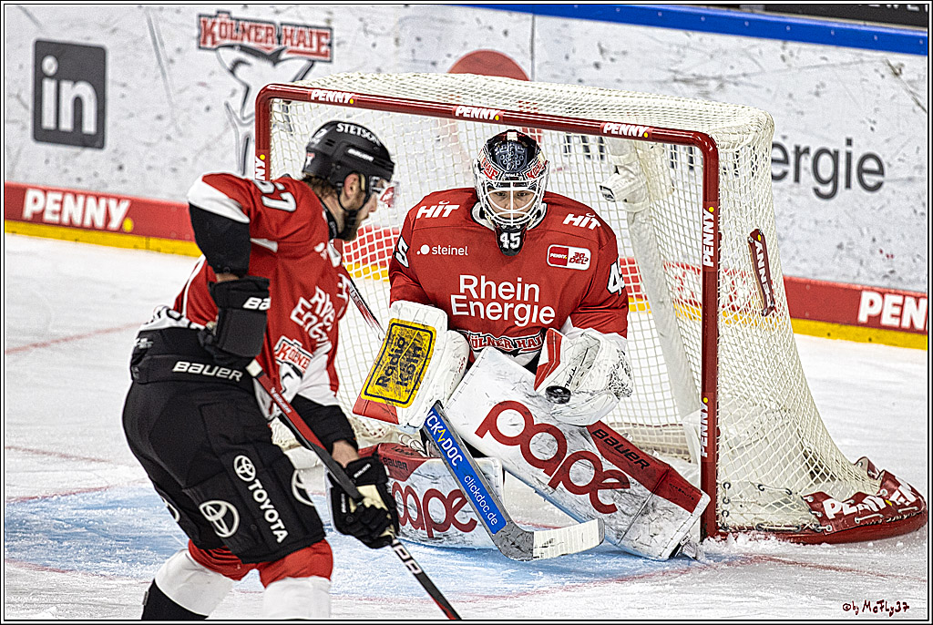 PENNY DEL 1; Kölner Haie - Schwenninger Wild Wings; Köln, 14.01.2024