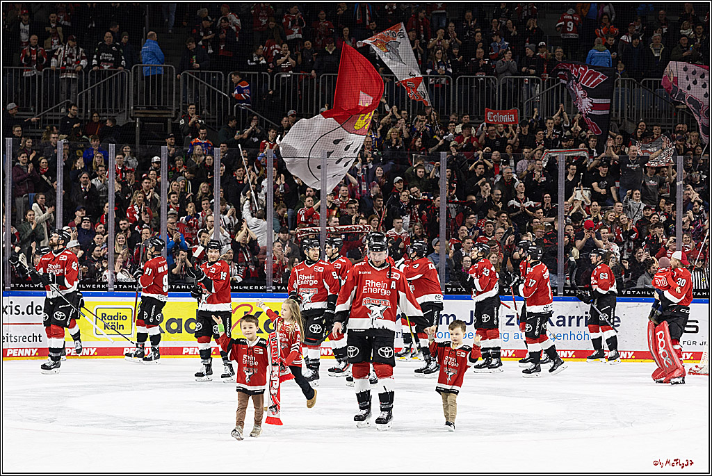 PENNY DEL 1; Kölner Haie - Fischtown Pinguins Bremerhaven; Köln, 30.01.2024