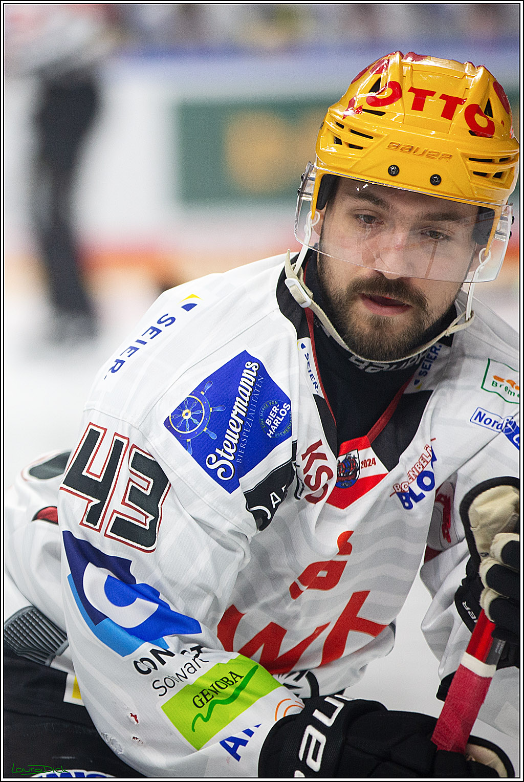 PENNY DEL; Koelner Haie- Fischtown Pinguins Bremerhaven; Koeln, 30.01.2024