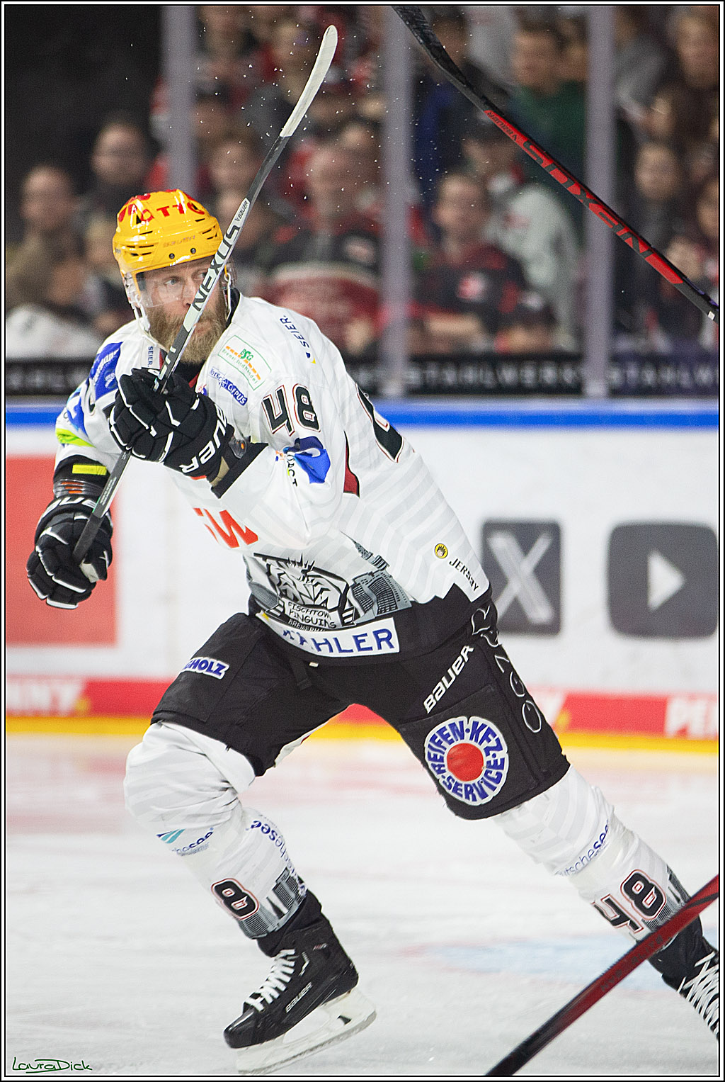 PENNY DEL; Koelner Haie- Fischtown Pinguins Bremerhaven; Koeln, 30.01.2024