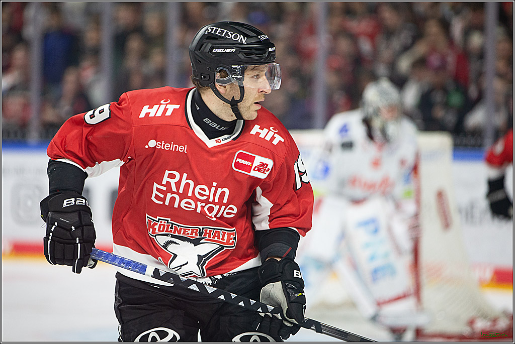 PENNY DEL; Koelner Haie- Fischtown Pinguins Bremerhaven; Koeln, 30.01.2024