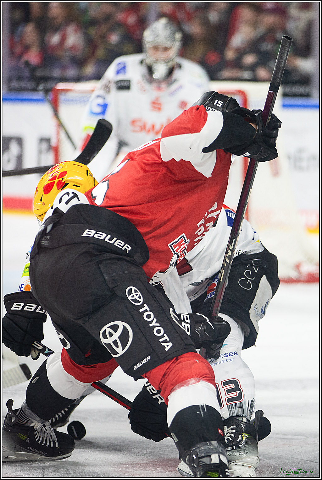 PENNY DEL; Koelner Haie- Fischtown Pinguins Bremerhaven; Koeln, 30.01.2024