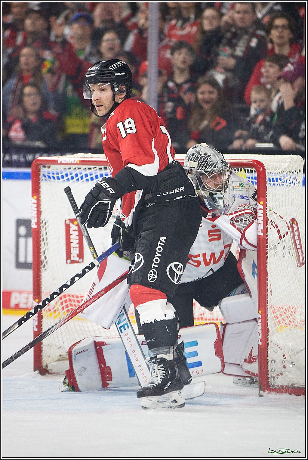 PENNY DEL; Koelner Haie- Fischtown Pinguins Bremerhaven; Koeln, 30.01.2024