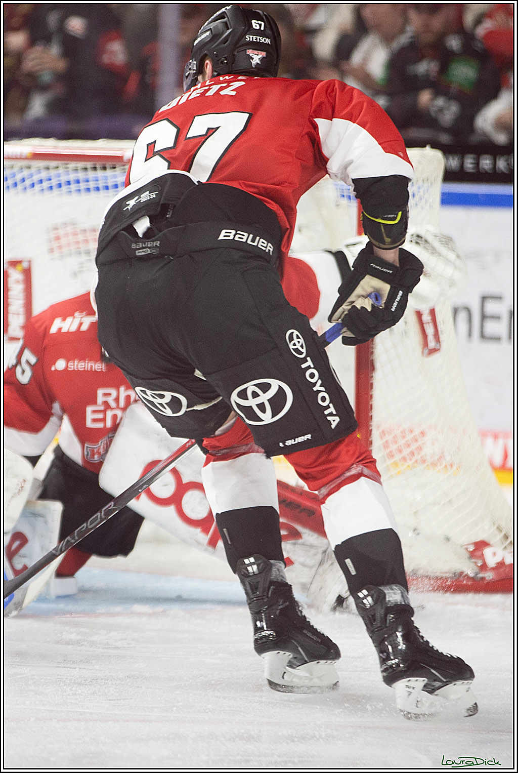 PENNY DEL; Koelner Haie- Fischtown Pinguins Bremerhaven; Koeln, 30.01.2024