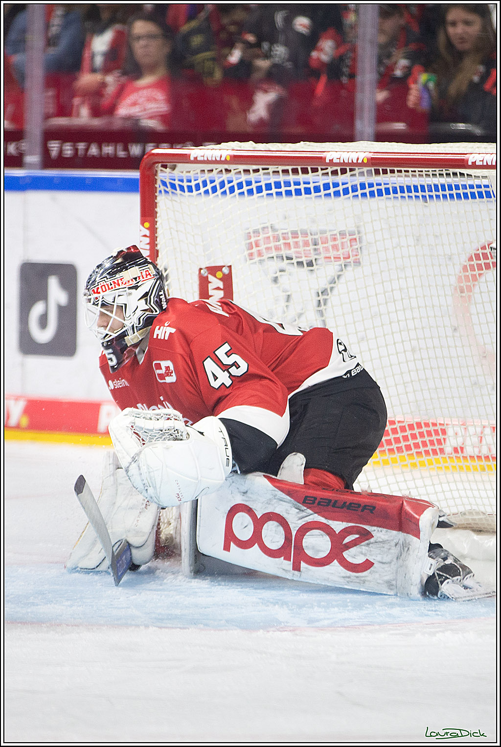 PENNY DEL; Koelner Haie- Fischtown Pinguins Bremerhaven; Koeln, 30.01.2024