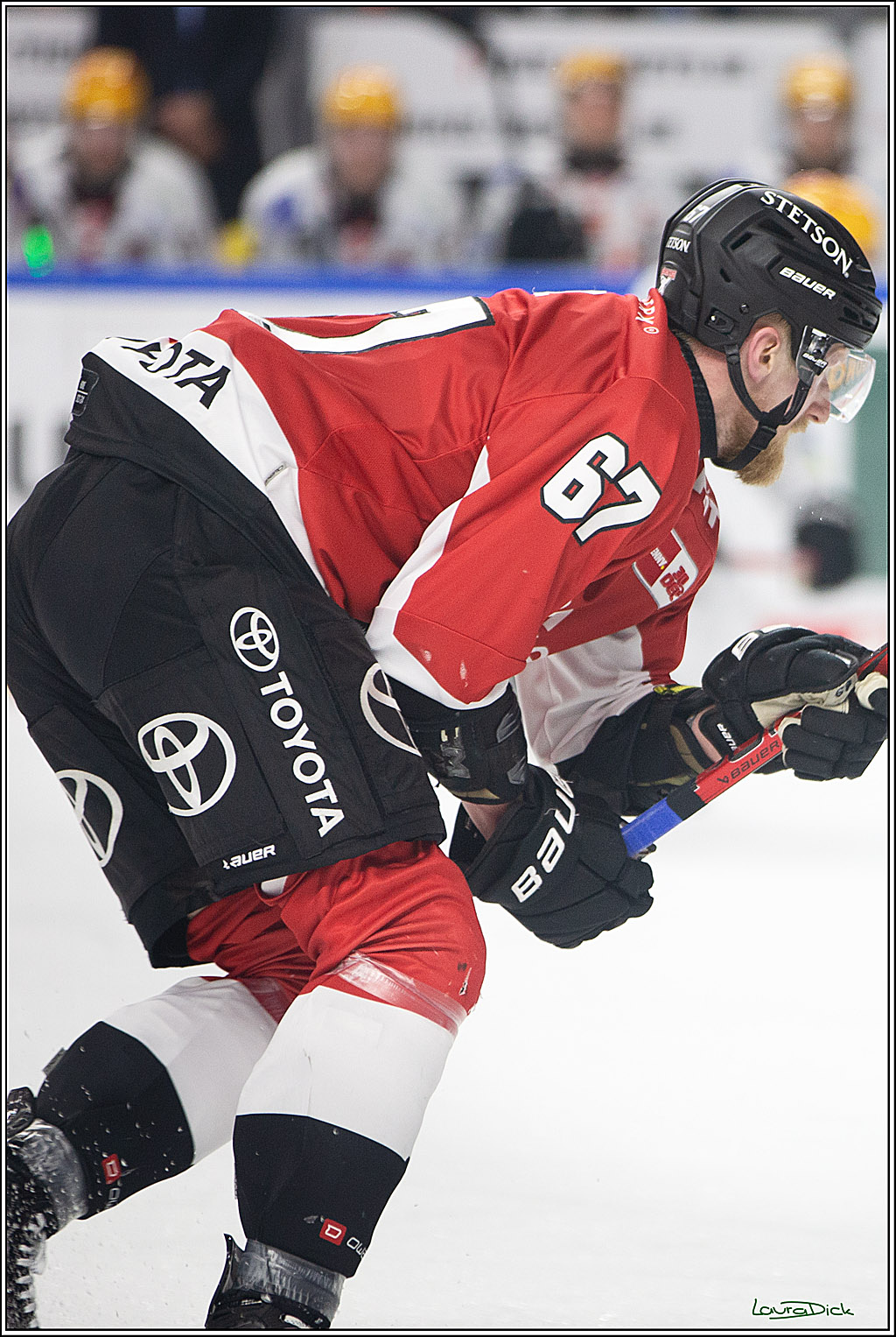 PENNY DEL; Koelner Haie- Fischtown Pinguins Bremerhaven; Koeln, 30.01.2024