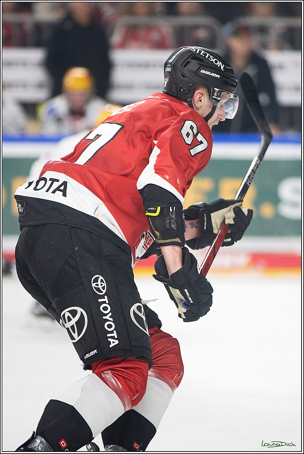 PENNY DEL; Koelner Haie- Fischtown Pinguins Bremerhaven; Koeln, 30.01.2024