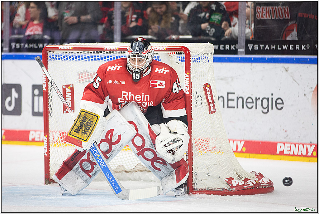 PENNY DEL; Koelner Haie- Fischtown Pinguins Bremerhaven; Koeln, 30.01.2024
