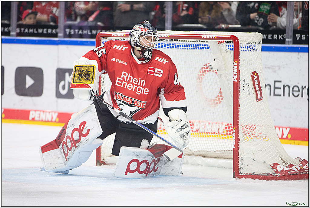 PENNY DEL; Koelner Haie- Fischtown Pinguins Bremerhaven; Koeln, 30.01.2024