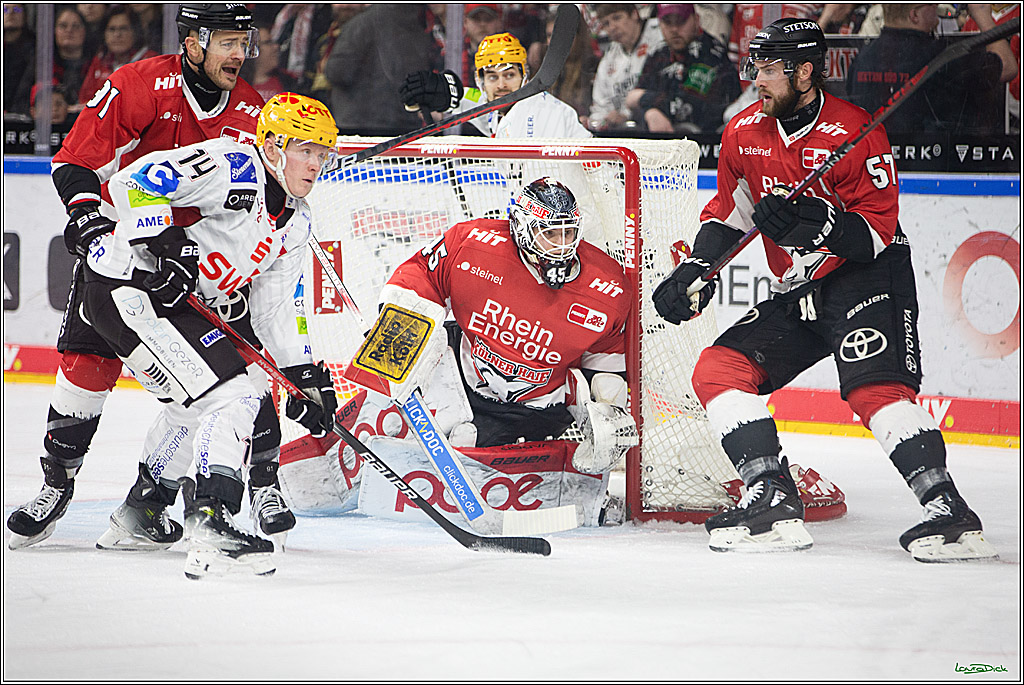 PENNY DEL; Koelner Haie- Fischtown Pinguins Bremerhaven; Koeln, 30.01.2024