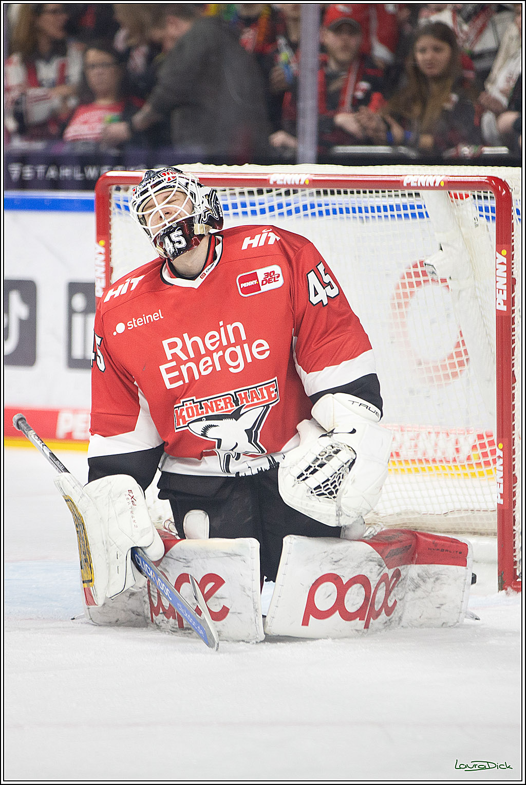PENNY DEL; Koelner Haie- Fischtown Pinguins Bremerhaven; Koeln, 30.01.2024