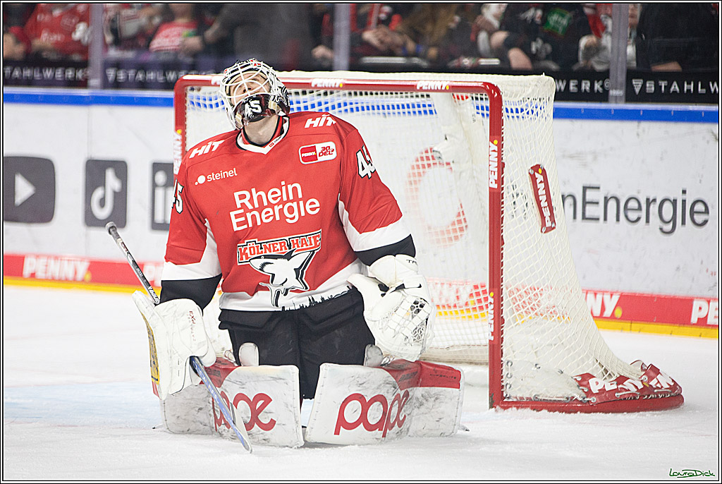 PENNY DEL; Koelner Haie- Fischtown Pinguins Bremerhaven; Koeln, 30.01.2024