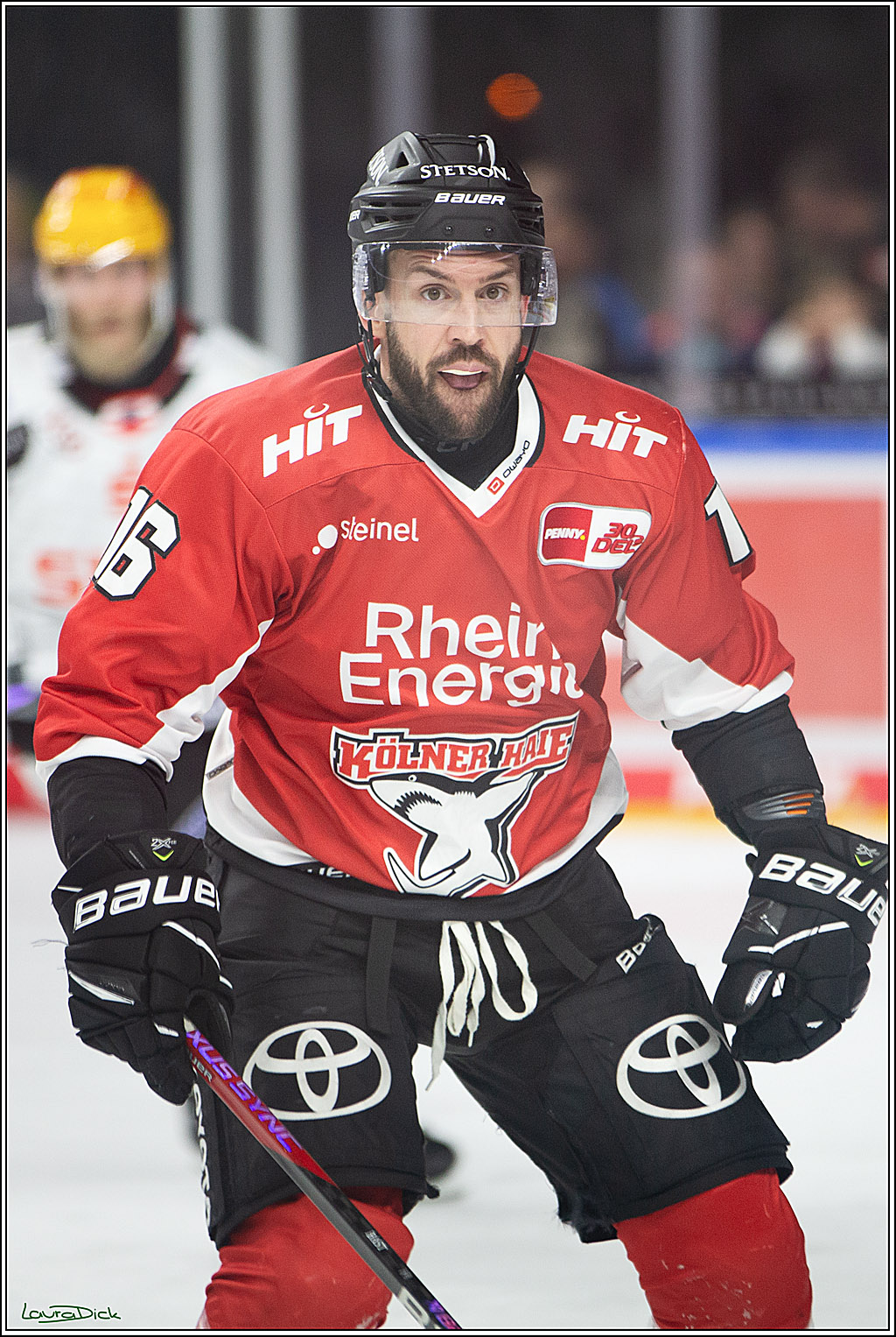 PENNY DEL; Koelner Haie- Fischtown Pinguins Bremerhaven; Koeln, 30.01.2024