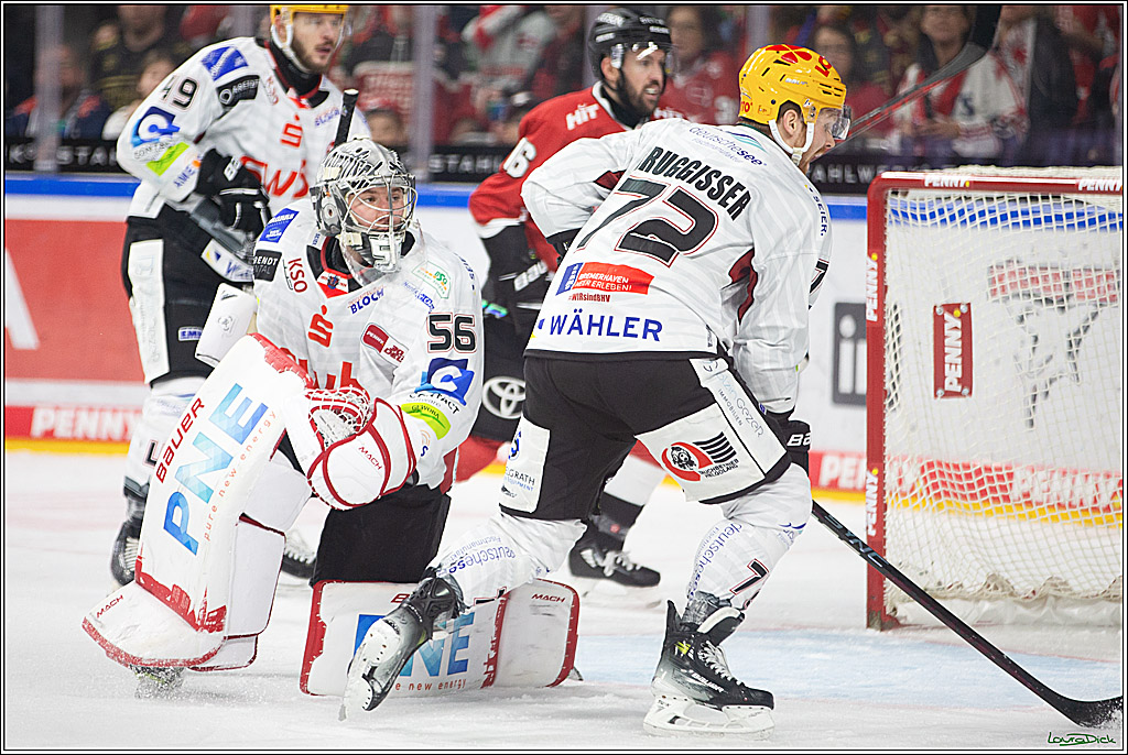 PENNY DEL; Koelner Haie- Fischtown Pinguins Bremerhaven; Koeln, 30.01.2024