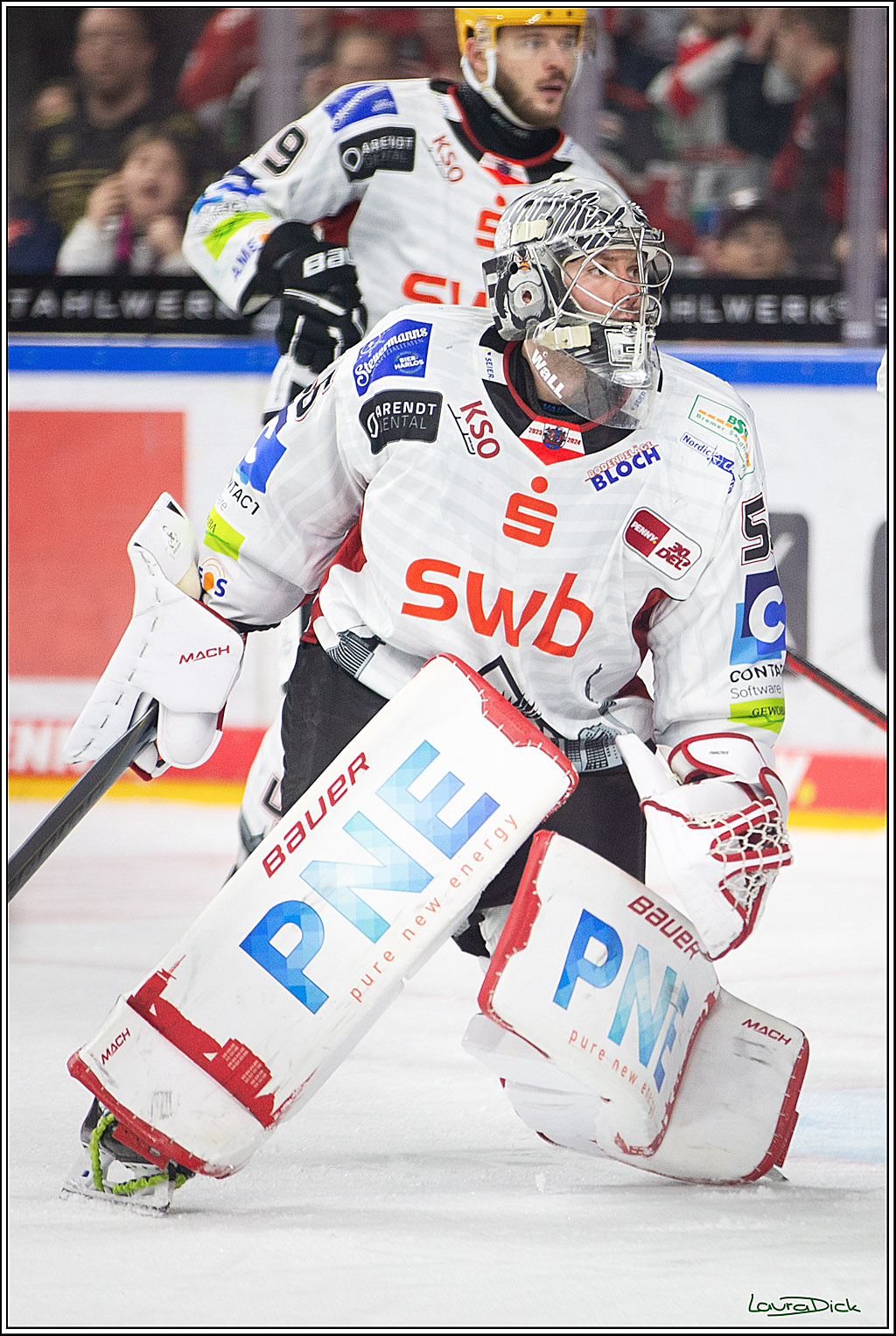 PENNY DEL; Koelner Haie- Fischtown Pinguins Bremerhaven; Koeln, 30.01.2024