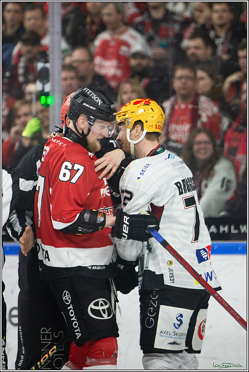 PENNY DEL; Koelner Haie- Fischtown Pinguins Bremerhaven; Koeln, 30.01.2024
