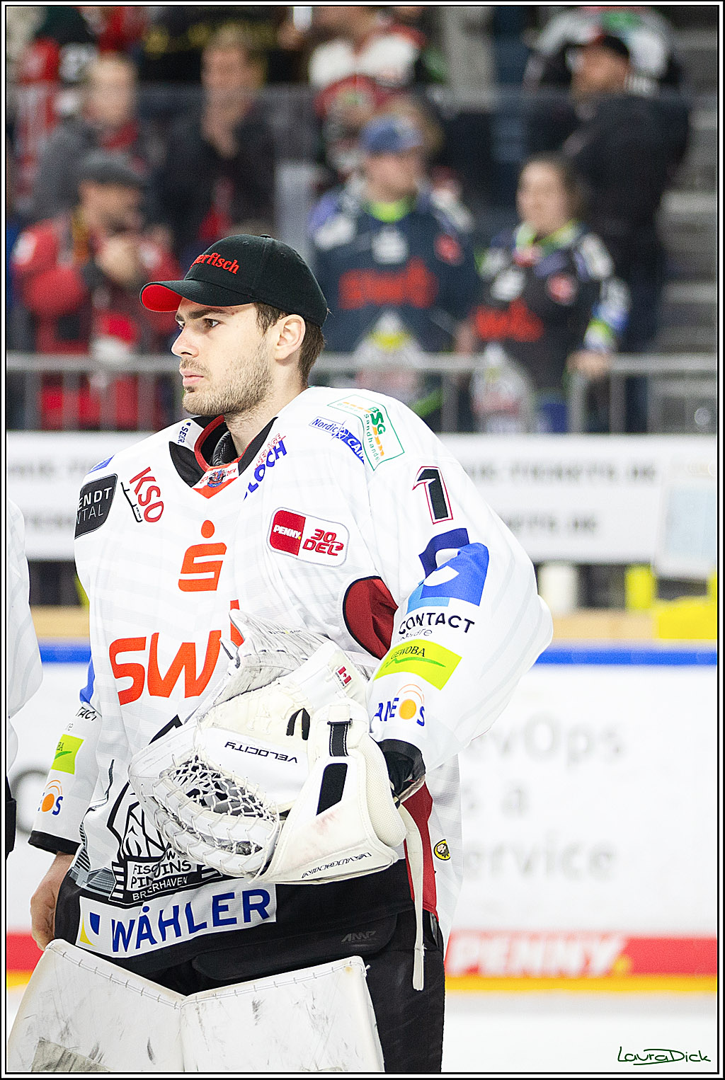 PENNY DEL; Koelner Haie- Fischtown Pinguins Bremerhaven; Koeln, 30.01.2024