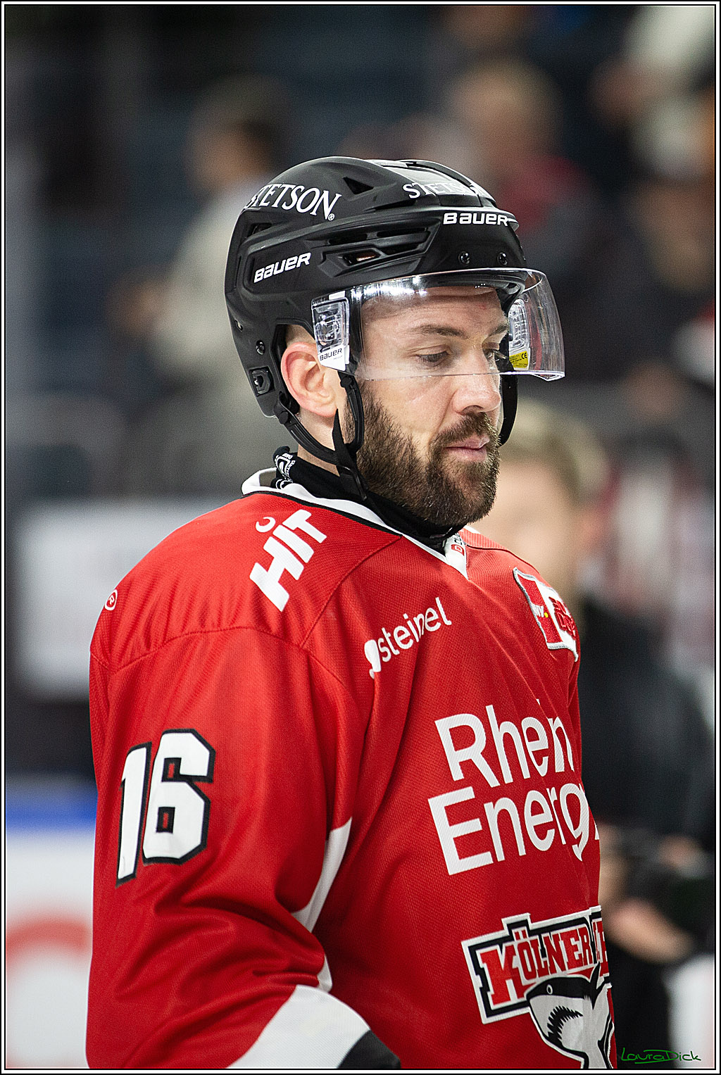 PENNY DEL; Koelner Haie- Fischtown Pinguins Bremerhaven; Koeln, 30.01.2024